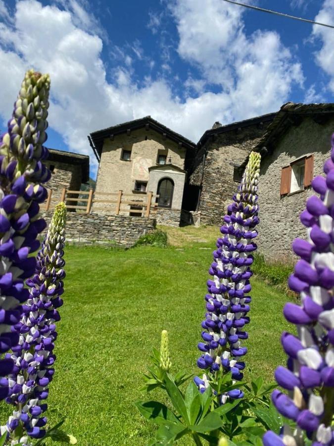 Albergo Casa Alpina San Luigi 坎波多尔奇诺 外观 照片